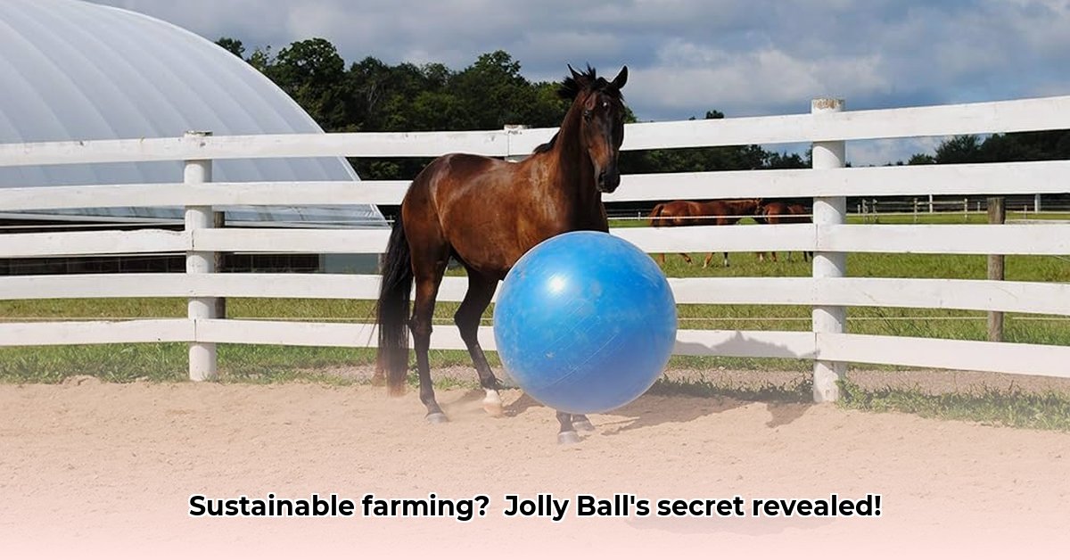 jolly-ball-tractor-supply